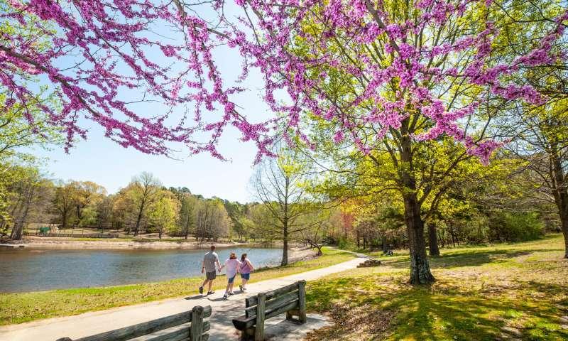 Crowley's Ridge State Park | Arkansas State Parks